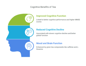Cognitive Benefits of Tea - visual selection Graph summarizing clinical study data on the cognitive benefits of tea’s nootropic ingredients.