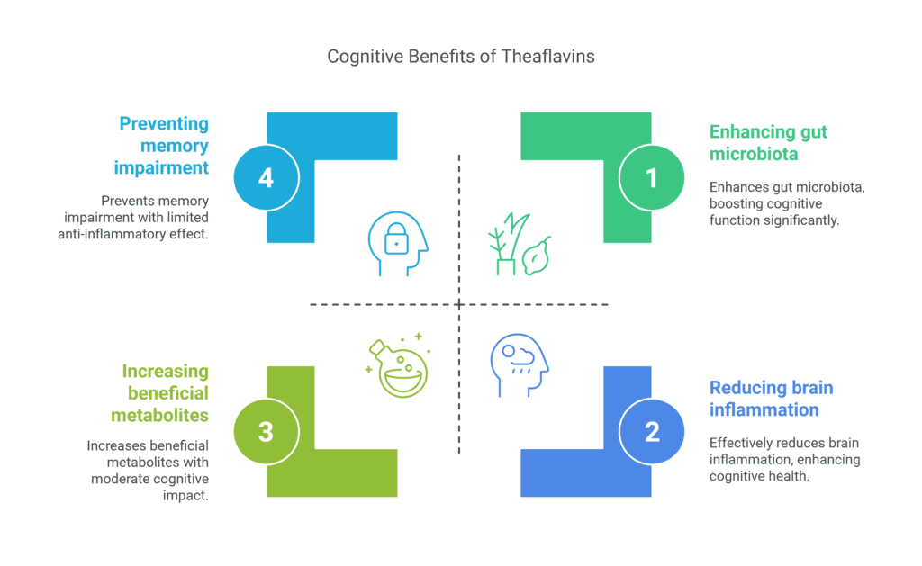 Cognitive Benefits of Theaflavins - visual selection Cognitive Benefits of Theaflavins